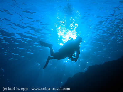 a diver in the philippines diving tubbataha