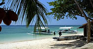 negros sipalay apo island