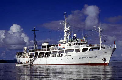 MV Big Blue Explorer - Palau