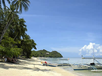 Beach at Sipalay Easy Diving and Beach Resort